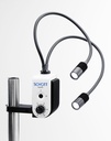 [6266981] Goosenecks, Double, SCHOTT EasyLED complete system