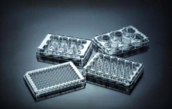 Tissue Cult.plates 12-well, 4.2cm²,treated,sterile