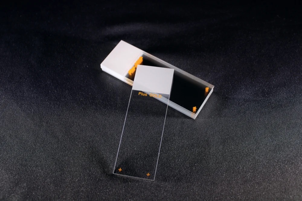 Slides, Epredia, Superfrost PLUS Gold, white frosted tab, 90° ground edge, 72 pcs
