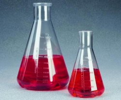 Flasks, erlenmeyer, plastic, w ith baffles, Nalgen