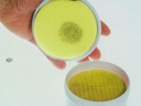 [7300224] Replacement foam insert, for mercury sampler