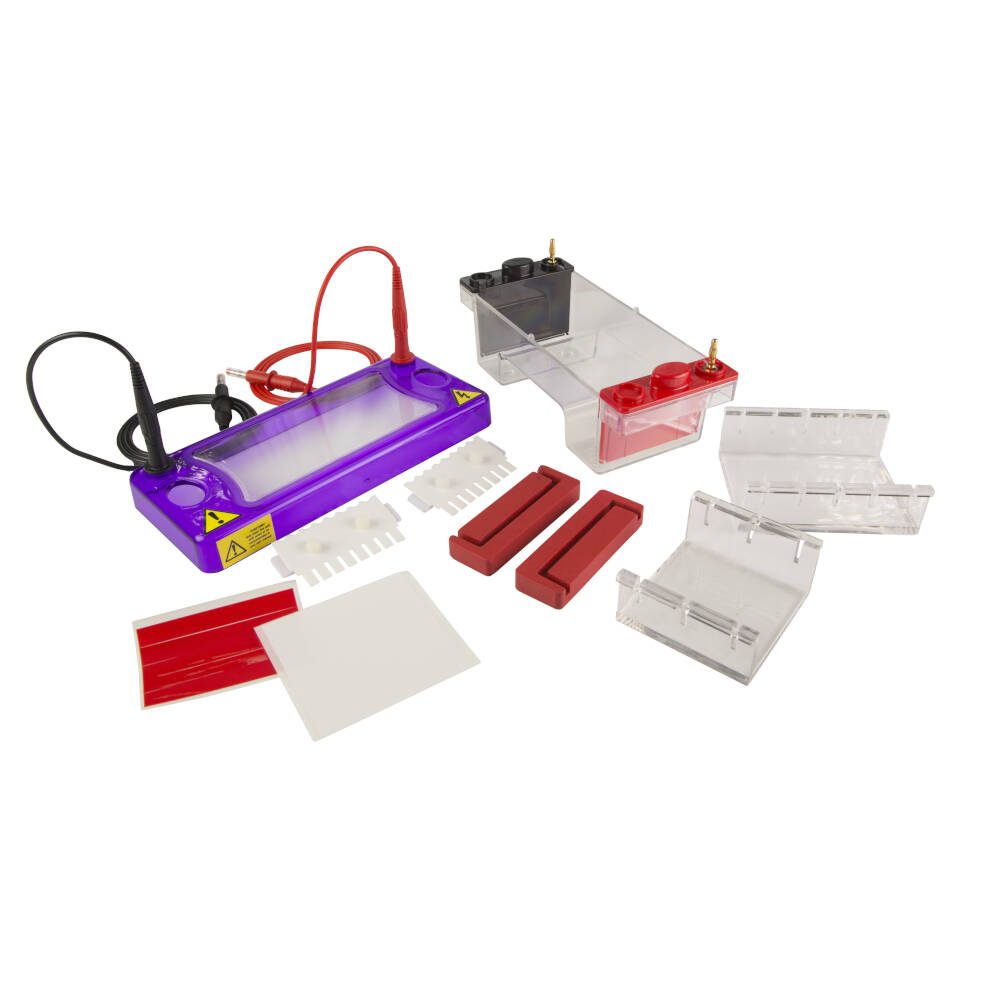 MSmini Duo electrophoresis set