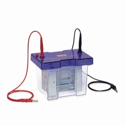 OmniPAGE TETRAD, with mini blot module,4 cassettes