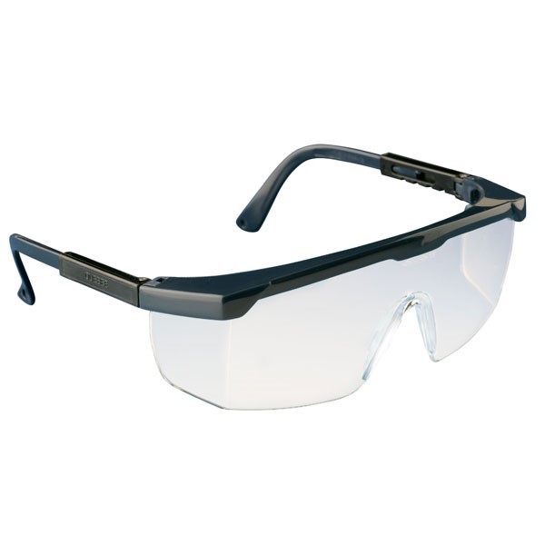 Safety glasses, Ekastu CLAREX, clear lens