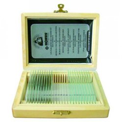 [9151859] Prepared microscope slides for education and stud