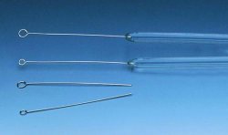 [9160054] Inoculation loops, platinum-ir idium, Type fused i