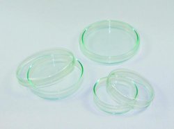 LLG Petri dish Ø60 x 15 mm, glass