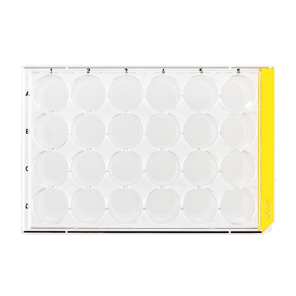 [92024] Cell culture plates, TPP, 24 wells, Ø15.4 mm, 126 pcs