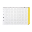 Cell culture plates, TPP, 48 wells, Ø10.6 mm,126 pcs