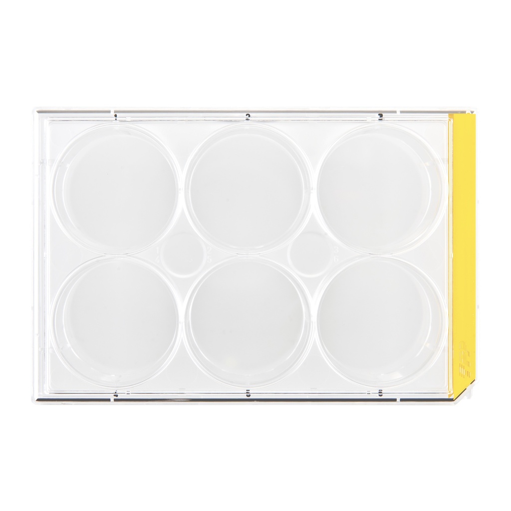 [92106] Cell culture plates, TPP, 6 wells, Ø 33.9mm, 42 pcs