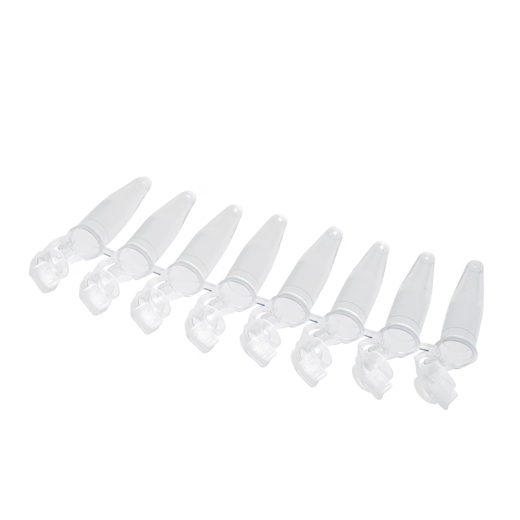 [9283622] PCR tubes, 0.2 ml and 0.5 ml a nd accessory tray a