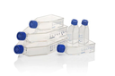 Cell culture bottles EasYFlask 25 cm², Nuclon