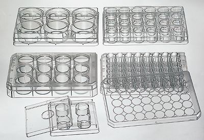 [9390402] Multiplates Nunclon,sterile,6 wells,pack of 85