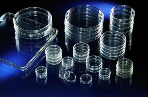Cell and tissue culture trays Nunclon,PS cap. 3 ml