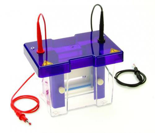[9584652] Electrophoresis omniPAGE Mini CVS10D, 10x10 cm