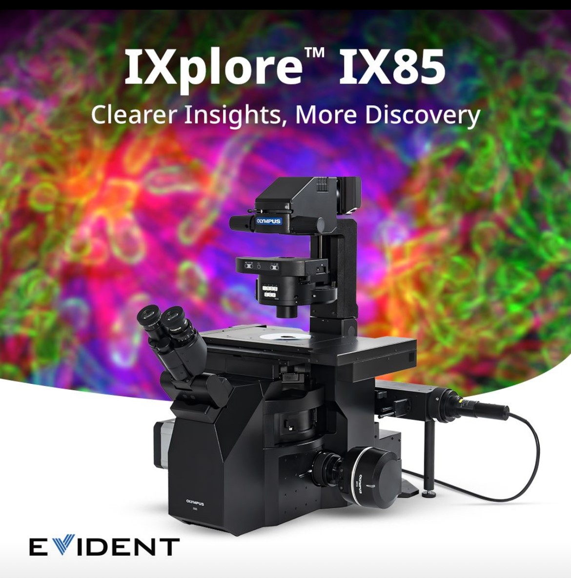 Microscopy equipment