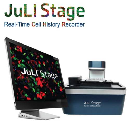 Cell culture monitoring