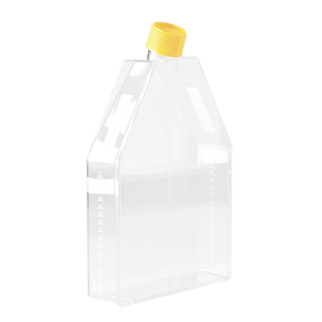 Cell culture